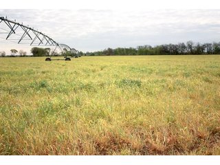 Property photo 78 - LAND AUCTION - 492+/- ACRES OFFERED IN 7 TRACTS IN SULLIVAN & KNOX COUNTIES, INDIANA